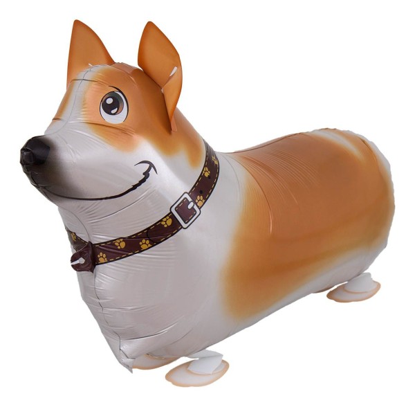 SAG Airwalker Corgi 55cm/21"